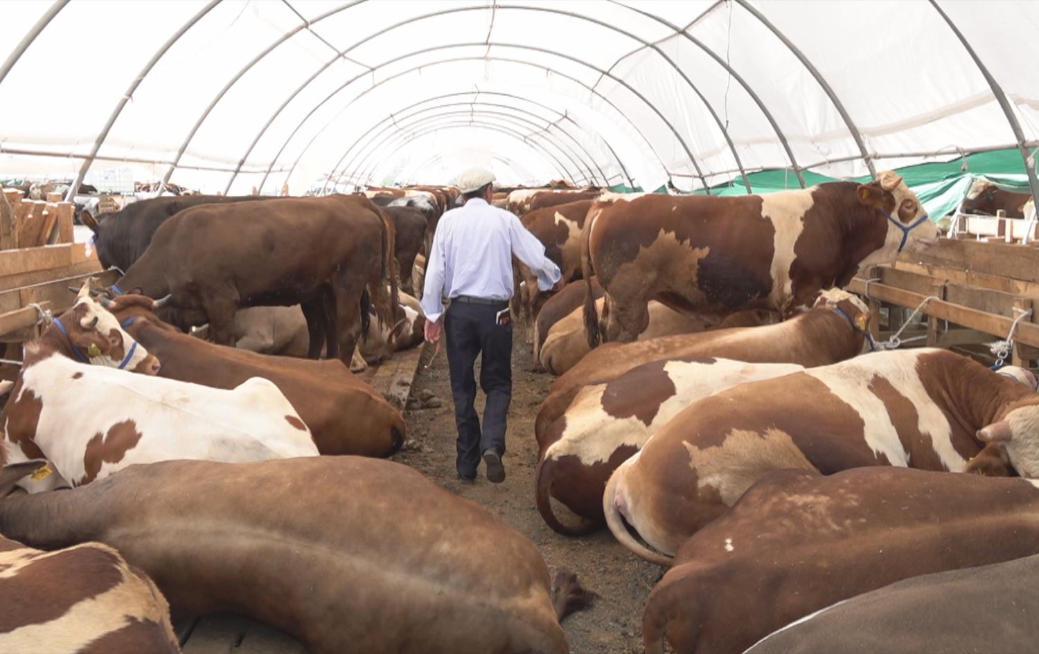 Ajeldaran bi hêviyên şikestî berê xwe daye metropolan
