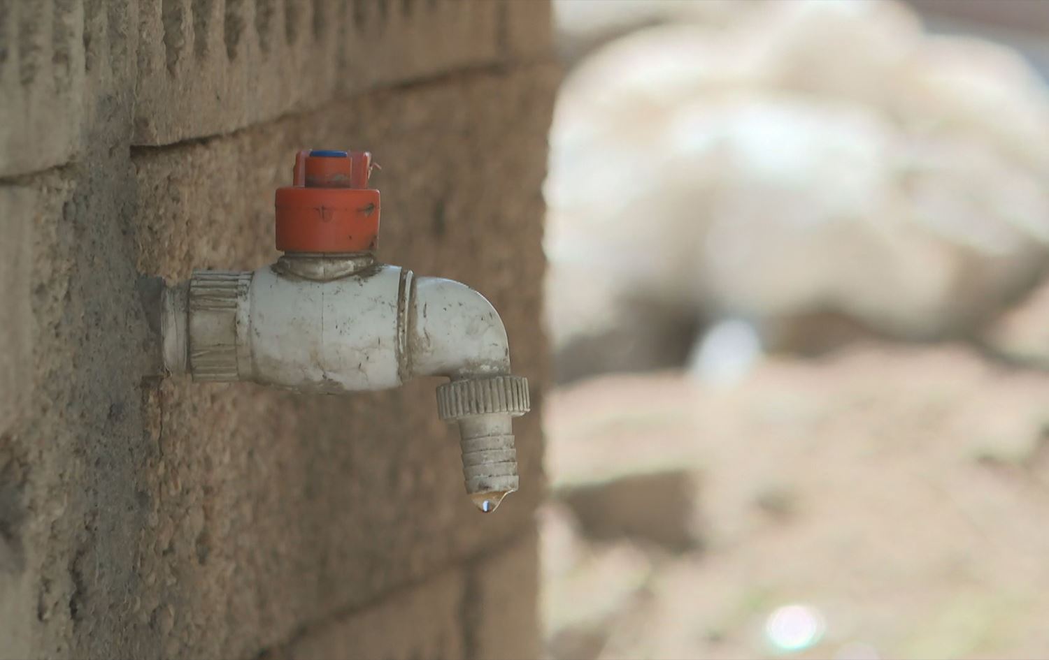 Her havîn xelkê Qamişloyê rûbirûyê krîza avê dibe / Wêne: Ji dîmenan