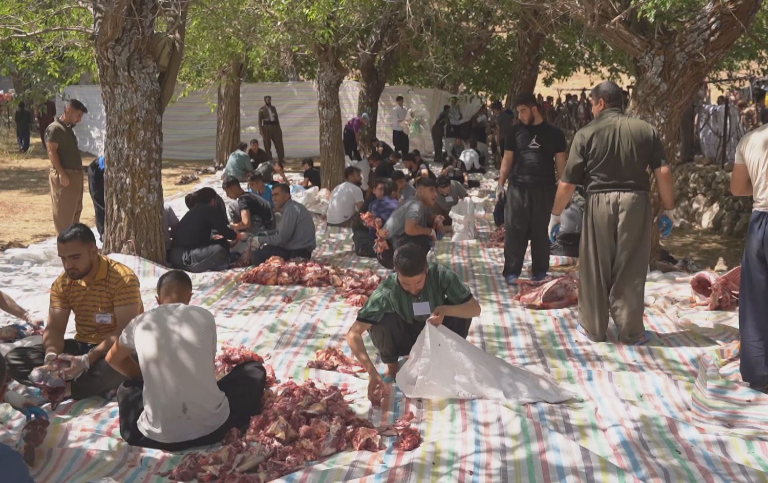 لە بانەوڕێی جوانڕۆ 1200 ئاژەڵ کرانە قوربانی