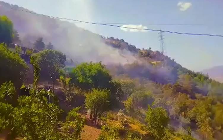 القبض على 5 سيّاح مصريين بتهمة التسبب بحريق في العمادية