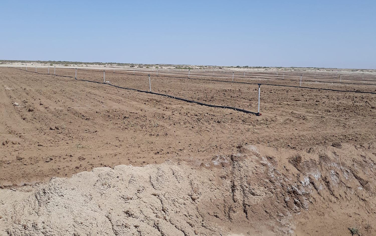 مئات الدونمات الزراعية في بدرة تتحول الى سكنية