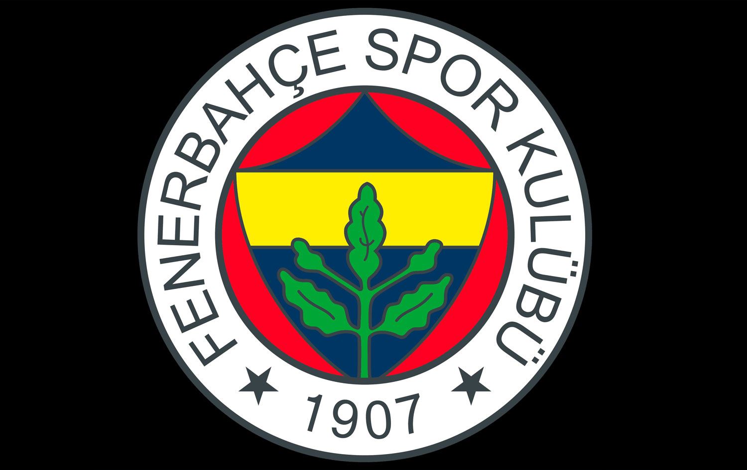 Logoya Fenerbahçeyê / Wêne: Arşîv