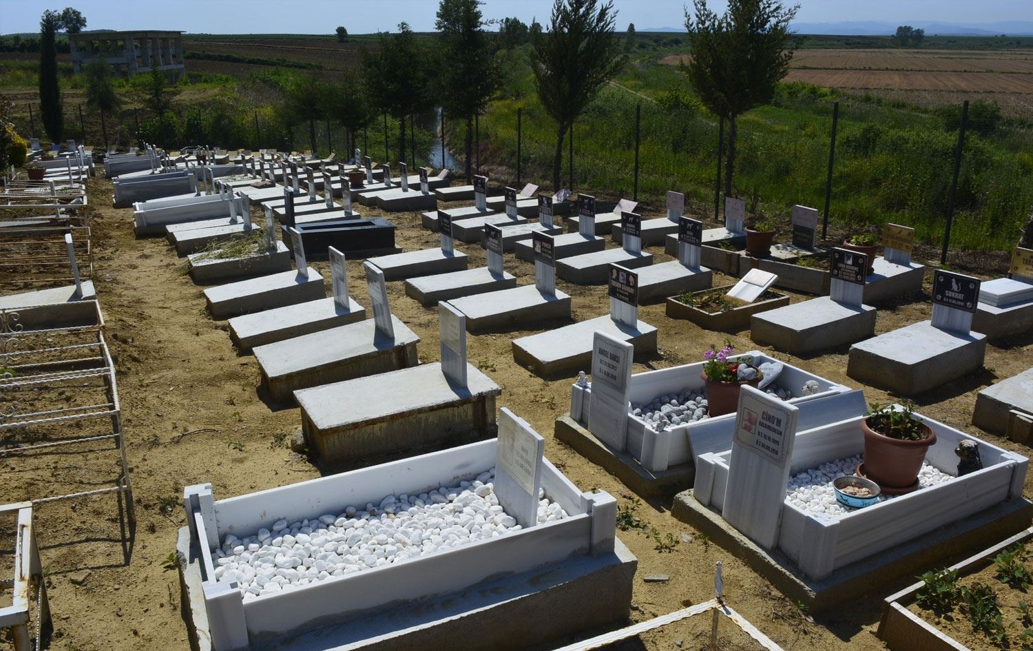 Evcil hayvan mezarlığı - Temsili görsel