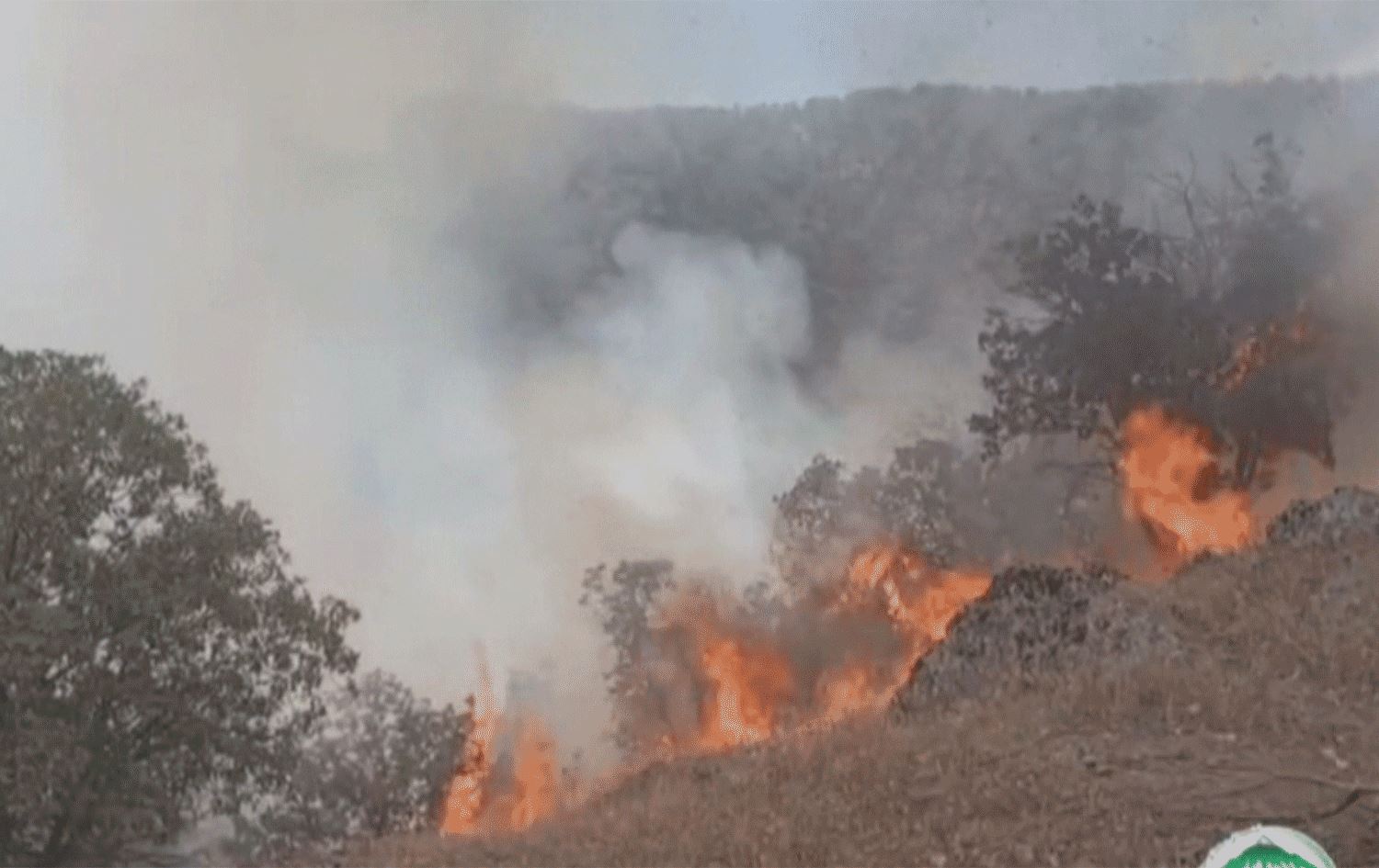 لە 48 کاژێردا 200 هێکتار لە دارستانەکانی مەریوان سووتاون