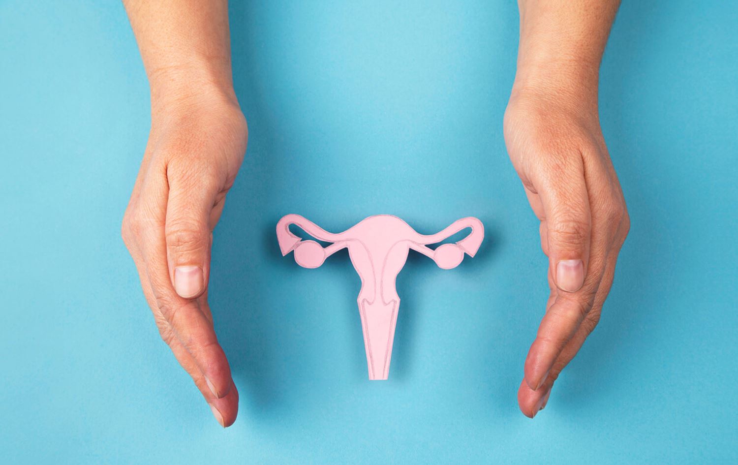 ئەنجوومەنی باڵای فەتوای کوردستان مەرجەکانی دەرهێنانی منداڵدانی کچانی ناکام دیاریدەکات