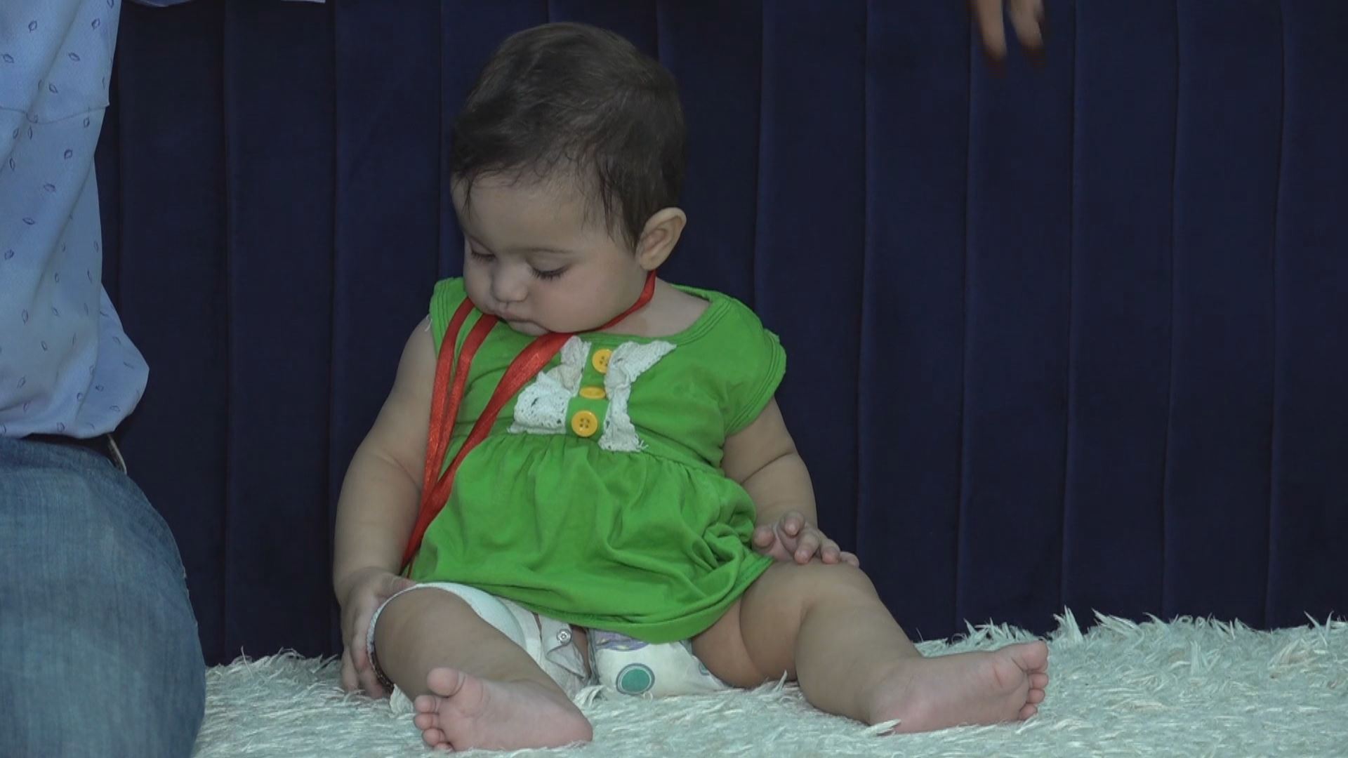 کەرکووک.. لە یەک شەودا سەگی بێلانە 13 کەس بریندار دەکەن