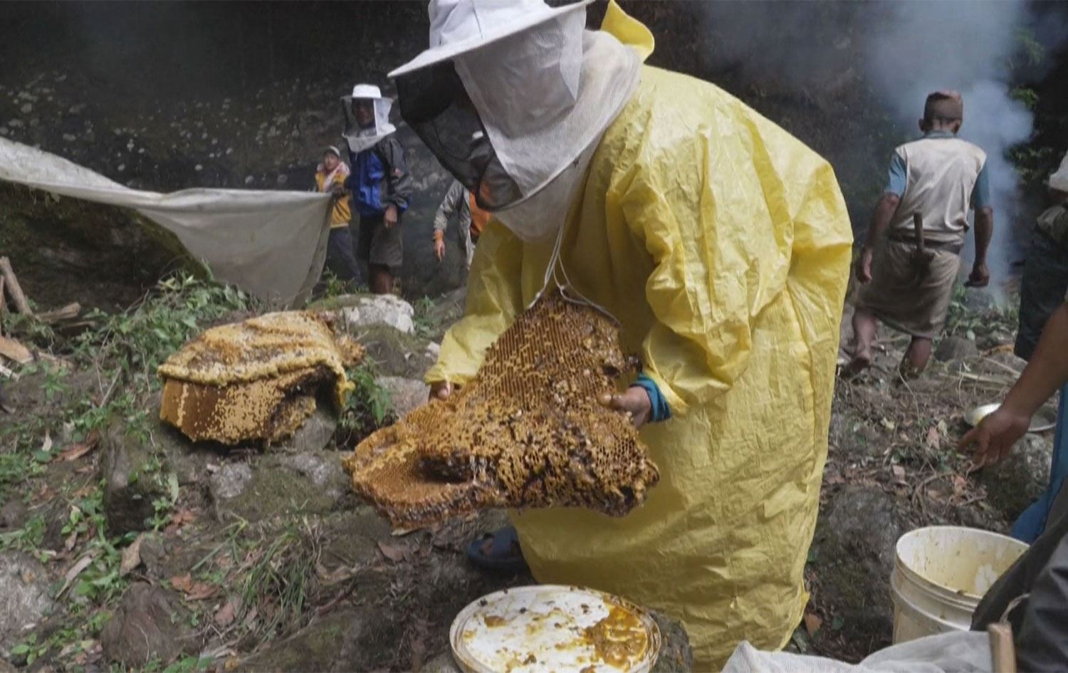 گۆڕانی کەشوهەوا و پیسبوونی ژینگە هەنگوینی نیپاڵی کەمکردووەتەوە