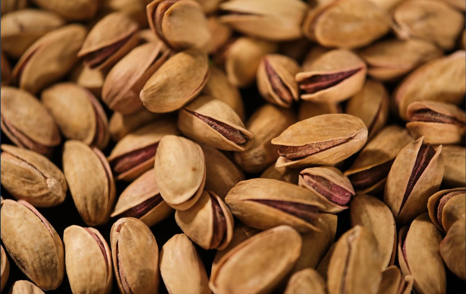 Ji Rihayê îsal bi 96 milyon dolaran fistiq hatin hinartin / Wêne: Arşîv