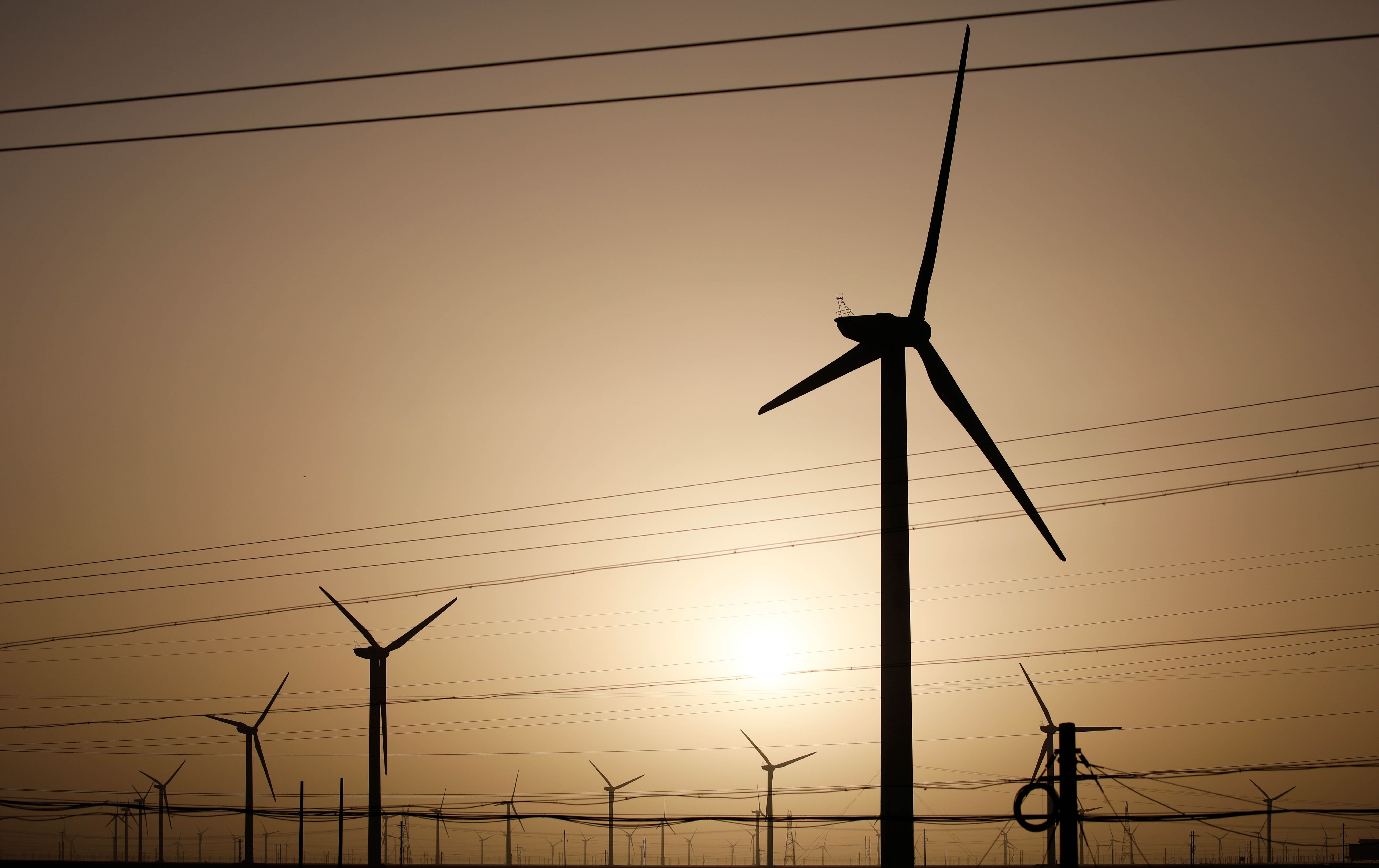 راپۆرتێک: چین بەتەنیا زیاتر لە هەموو وڵاتان کارەبا لە سەرچاوەی نوێبووەوە بەرهەمدێنێت