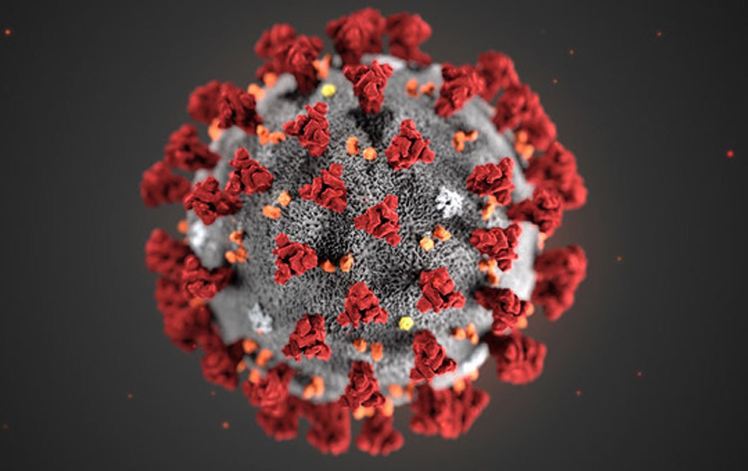 تەندروستیی جیهانی: هەفتانە 1700 کەس بەهۆی کۆرۆناوە گیان لەدەستدەدەن