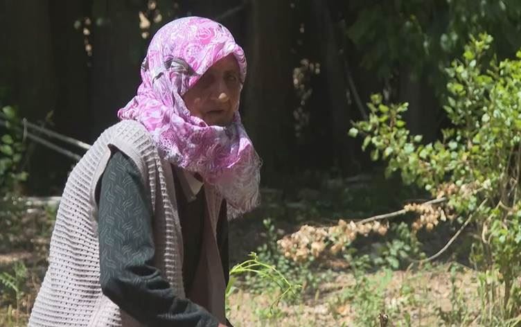 لە خارپێت ژنێکی 114 ساڵ لە کەلاوەیەکدا دەژیت؛ بەخۆی کارەکانی دەکات
