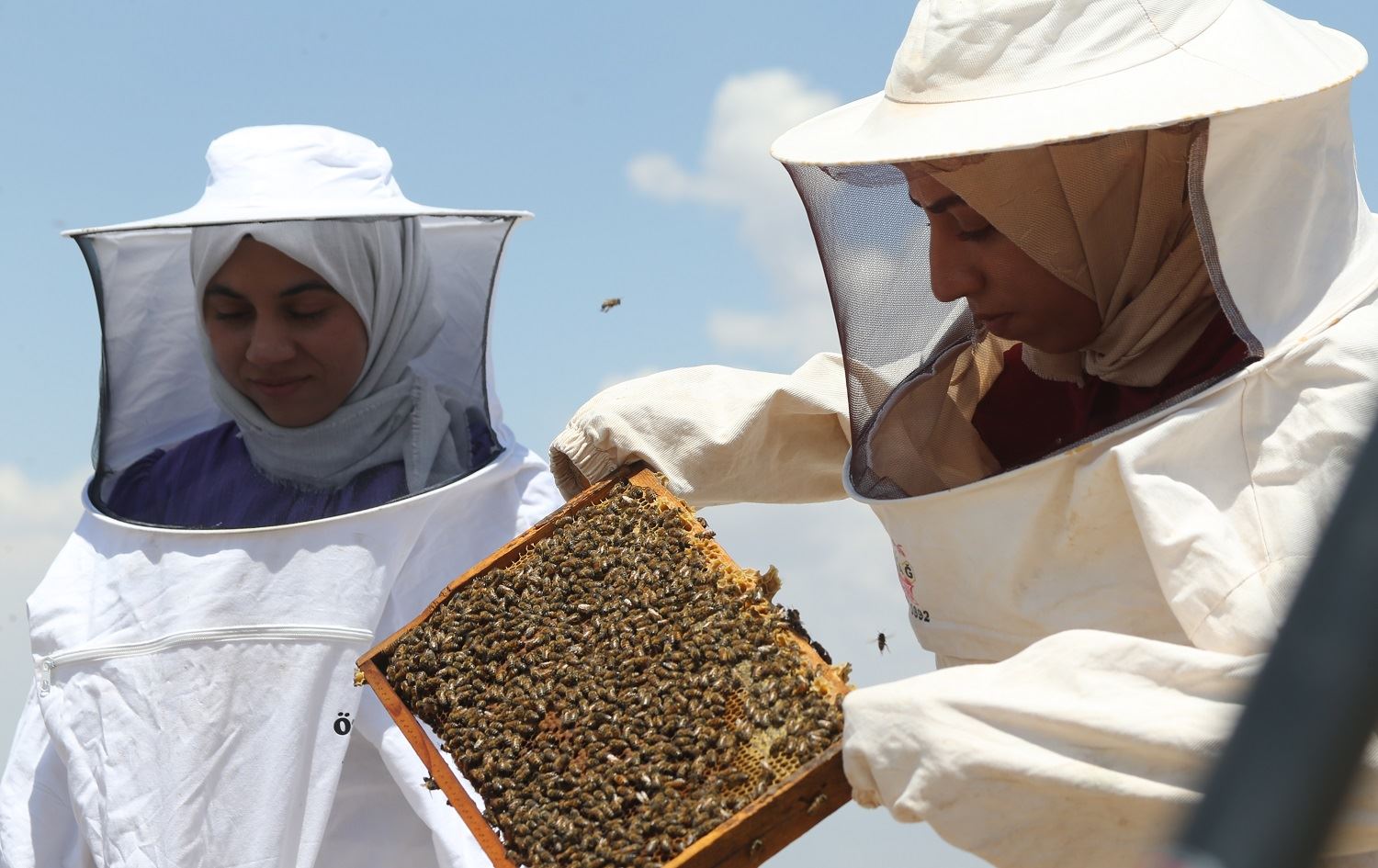 Jinên mêşvan li gundê ku 15 mal lê hene karê xwe didomînin / Wêne: AA