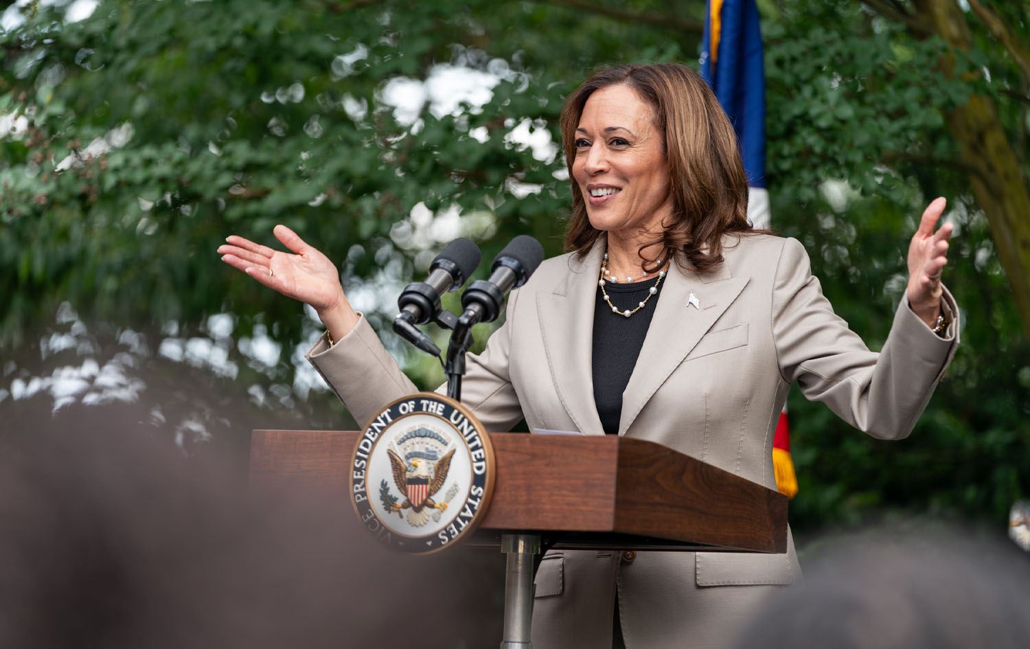 Harris to seek party's nomination after Biden’s endorsement