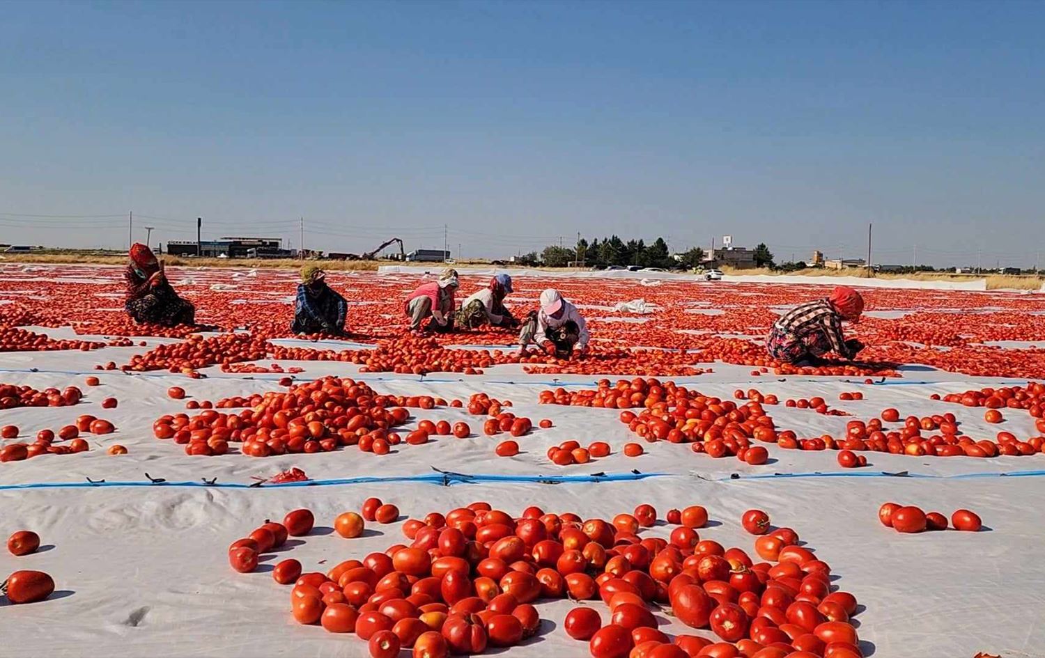 Li Amedê hişkkirina firingiyan dest pê kir/Wêne: Abdulselam Akinci/ Rûdaw