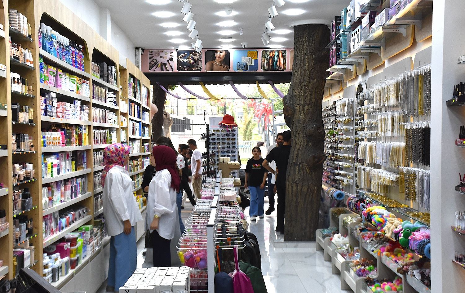 Li Wanê dara sed salî ya gûzê di hindirê dikanê de maye / Wêne: AA