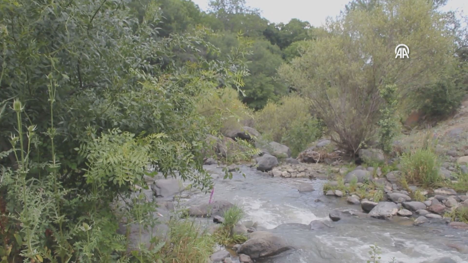 گوندێکی ئیدر بە چەندین تاڤگە و گەڕاو پێشوازی لە گەشتیاران دەکات