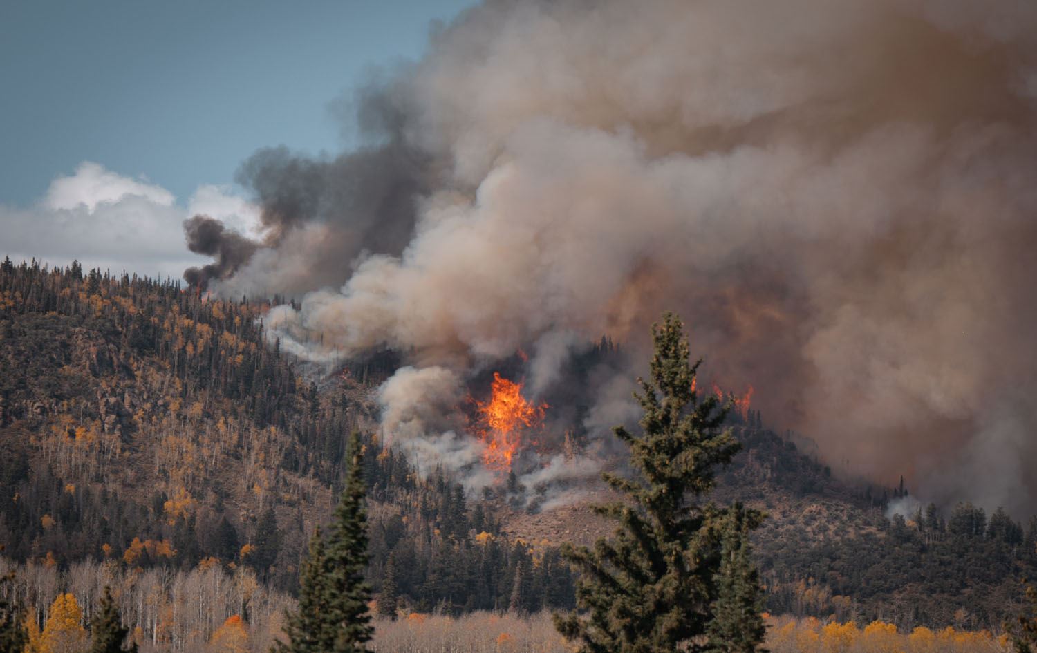توێژینەوەیەک: دووکەڵی ئاگر ئەگەری تووشبوون بە لەبیرچوونەوە زیاددەکات