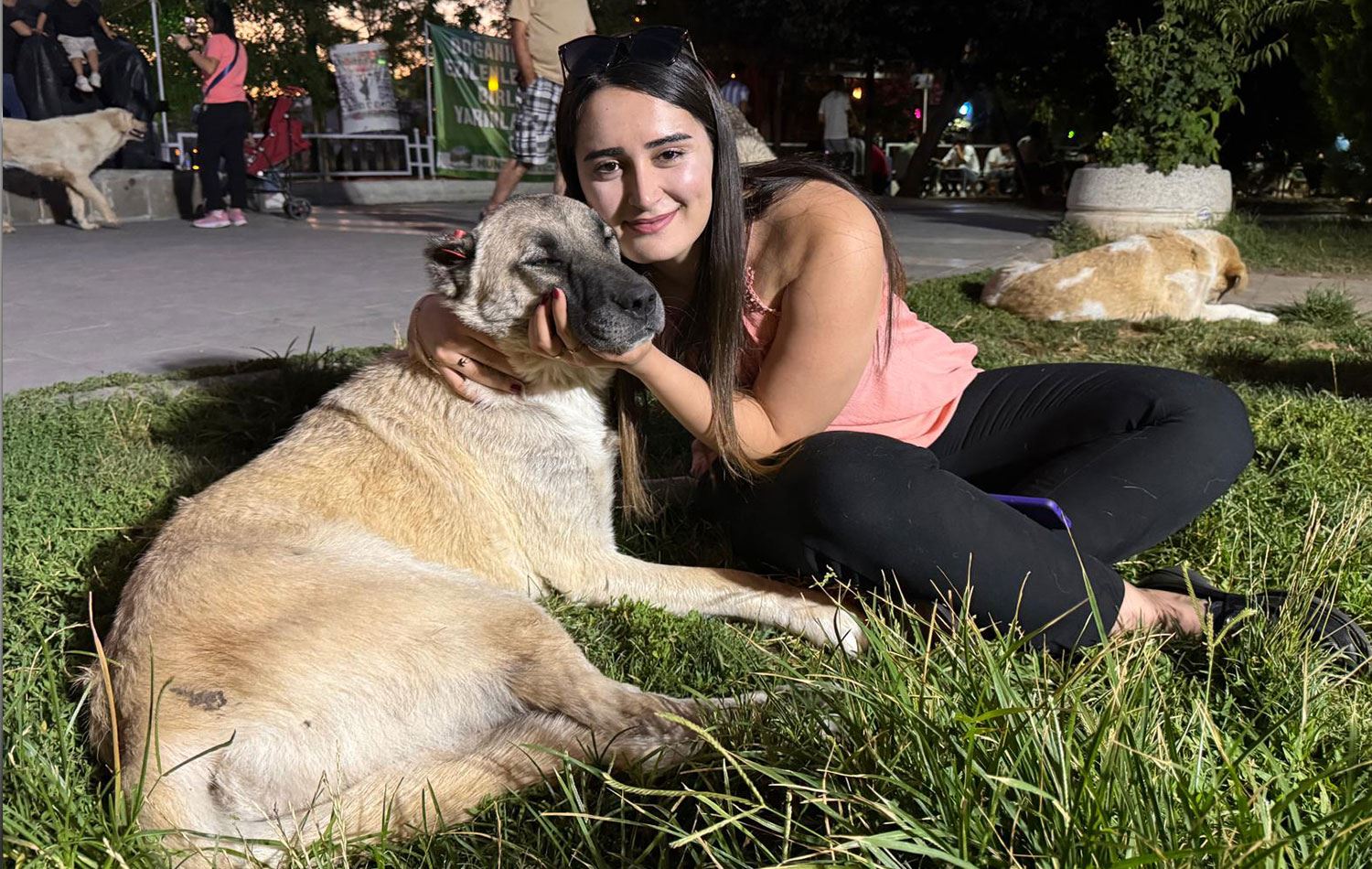 Foto: Ali Haydar Gözlü / Rûdaw