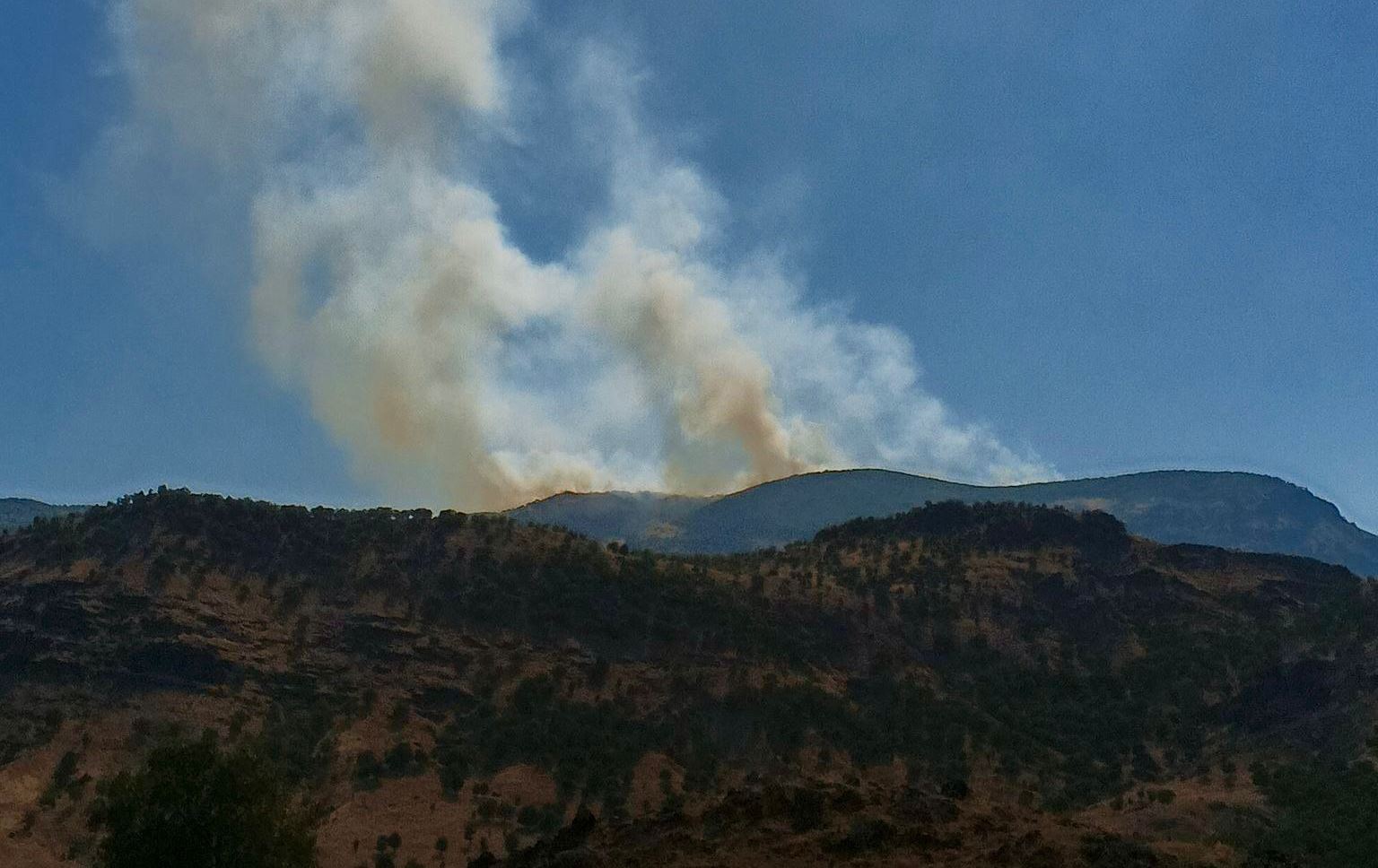 ئاگر لە دارستانەکانی دێرسم کەوتووەتەوە