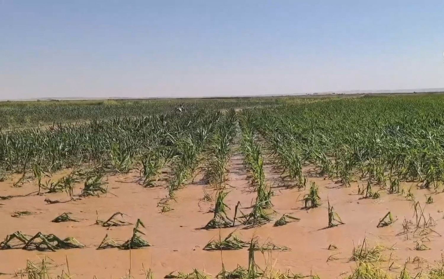 Li Rihayê boriya avdaniyê teqiya / Wêne: AA