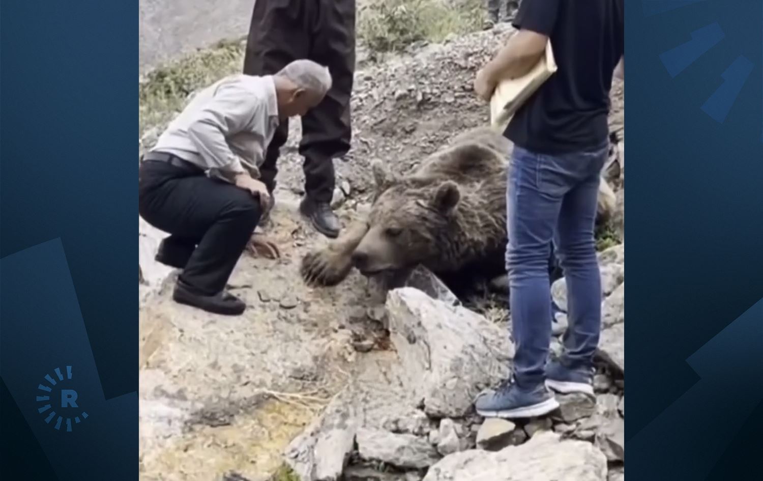 Termê hirçê hat dîtin / Wêne: Rûdaw