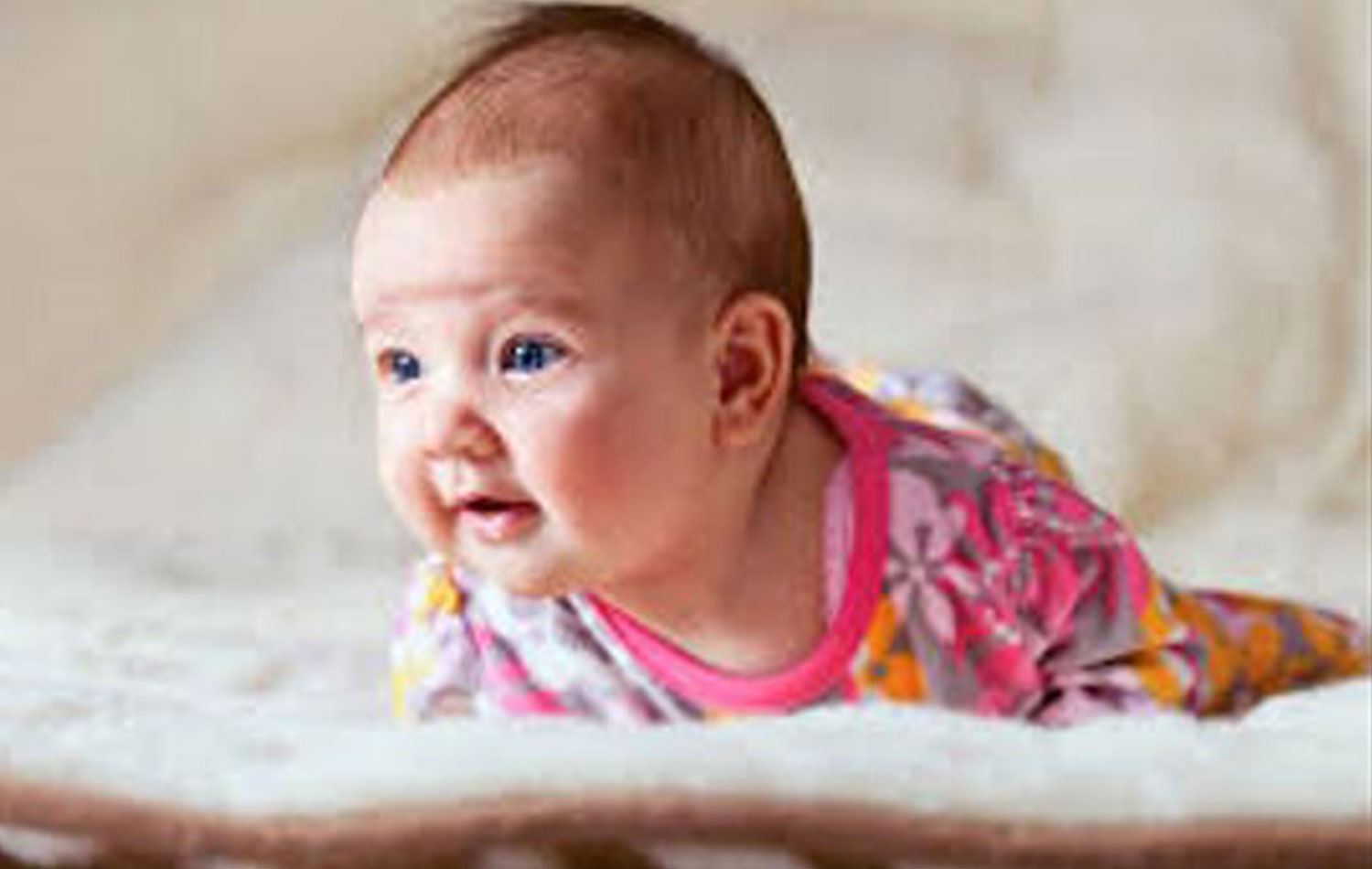 Pitikekî mar gez kir / Wêne: Ajans