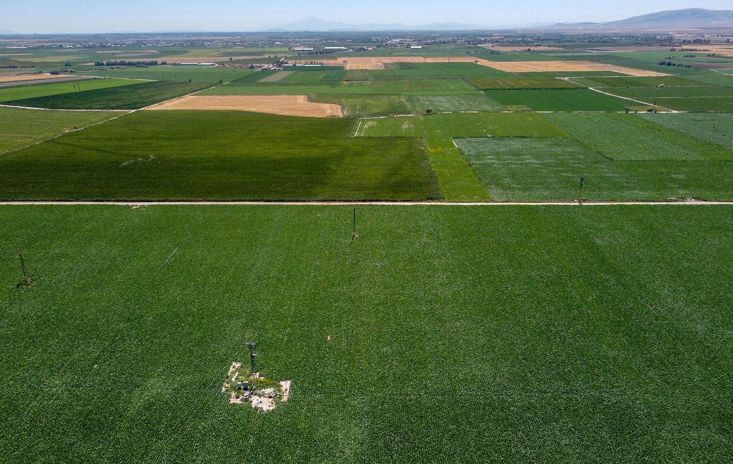 Hinek zeviyên ajotî / Wêne: AA