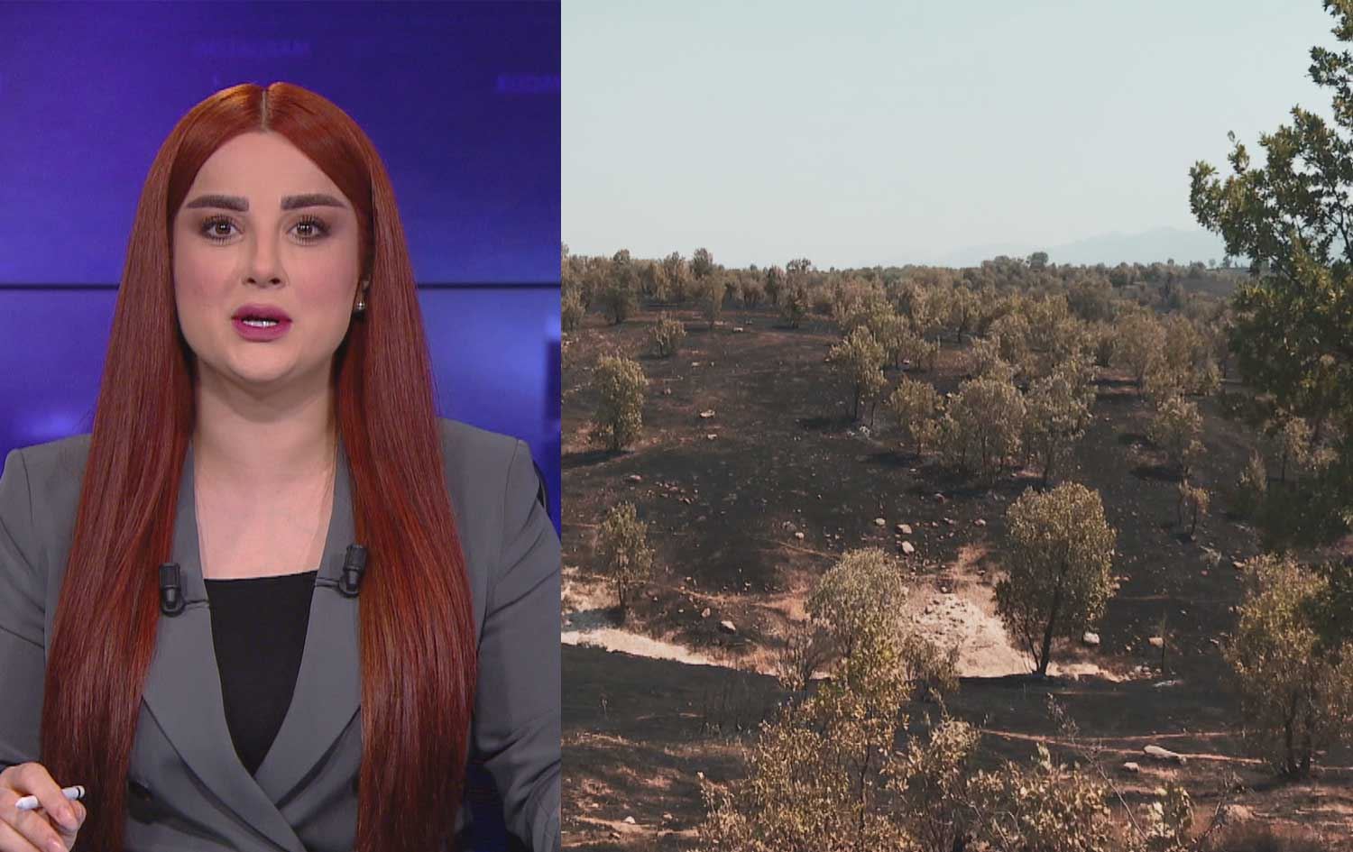 لە سنووری کانی ماسێ 'بەهۆی تەقینەوەیەکی تورکیا' 3500 دۆنم زەوی سووتا