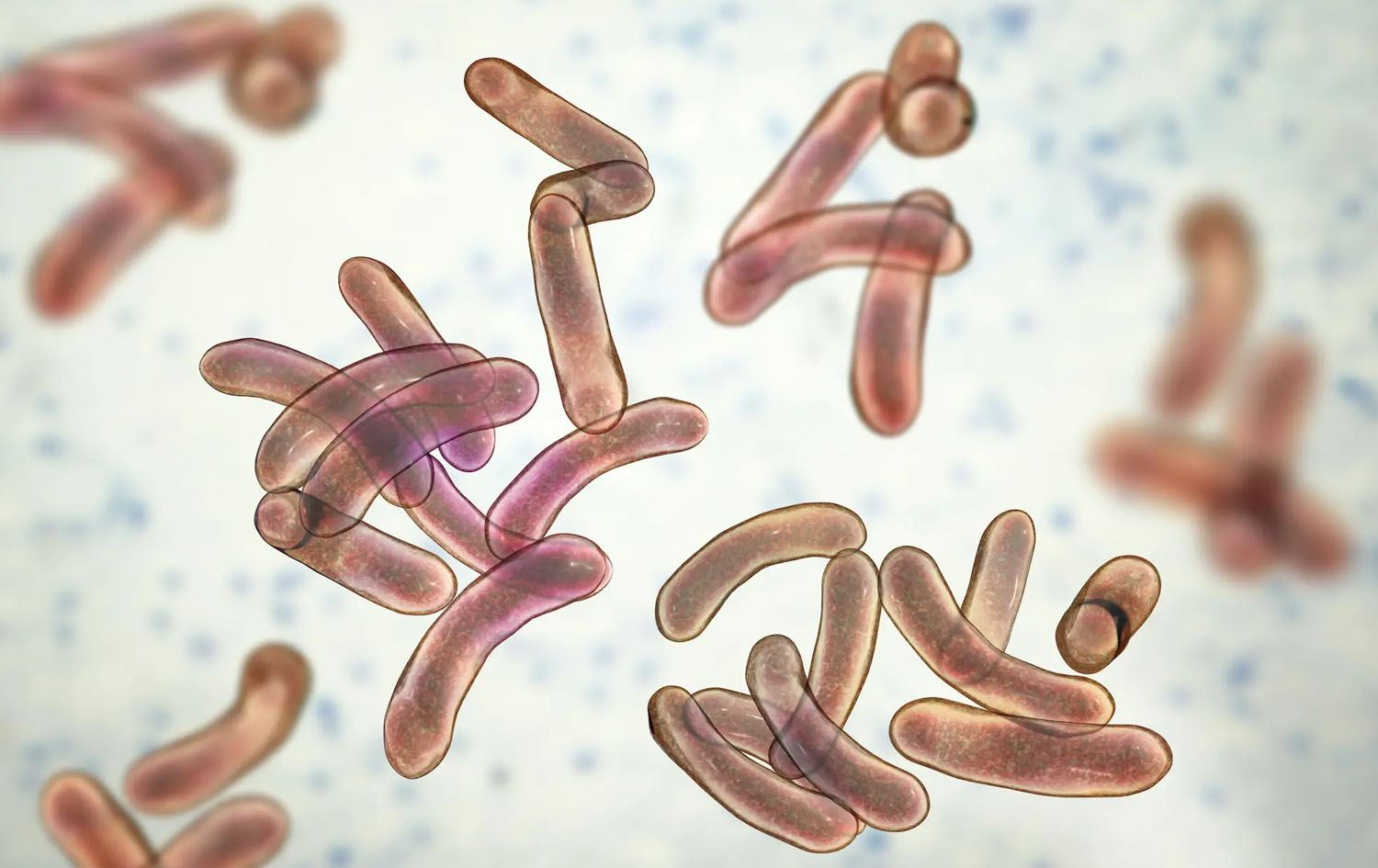 نەخۆشیی کۆلێرا چییە و چۆن خۆمانی لێ بپارێزین؟