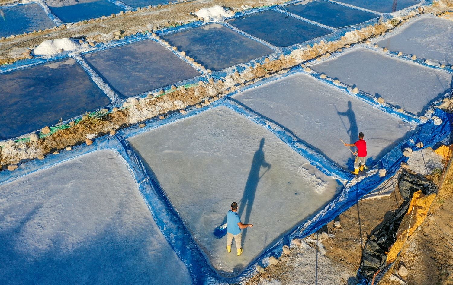 Li Êlihê germa zêde hilberîna xwê zêde kir / Wêne: AA