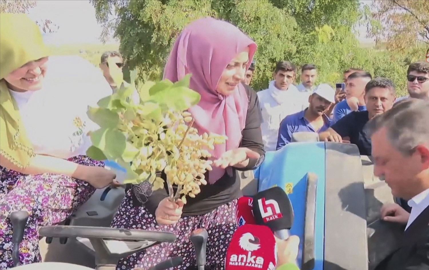 Li Dîlokê cotkar ji bihayên fistiqan ne razî ne / Wêne: Ji dîmenan