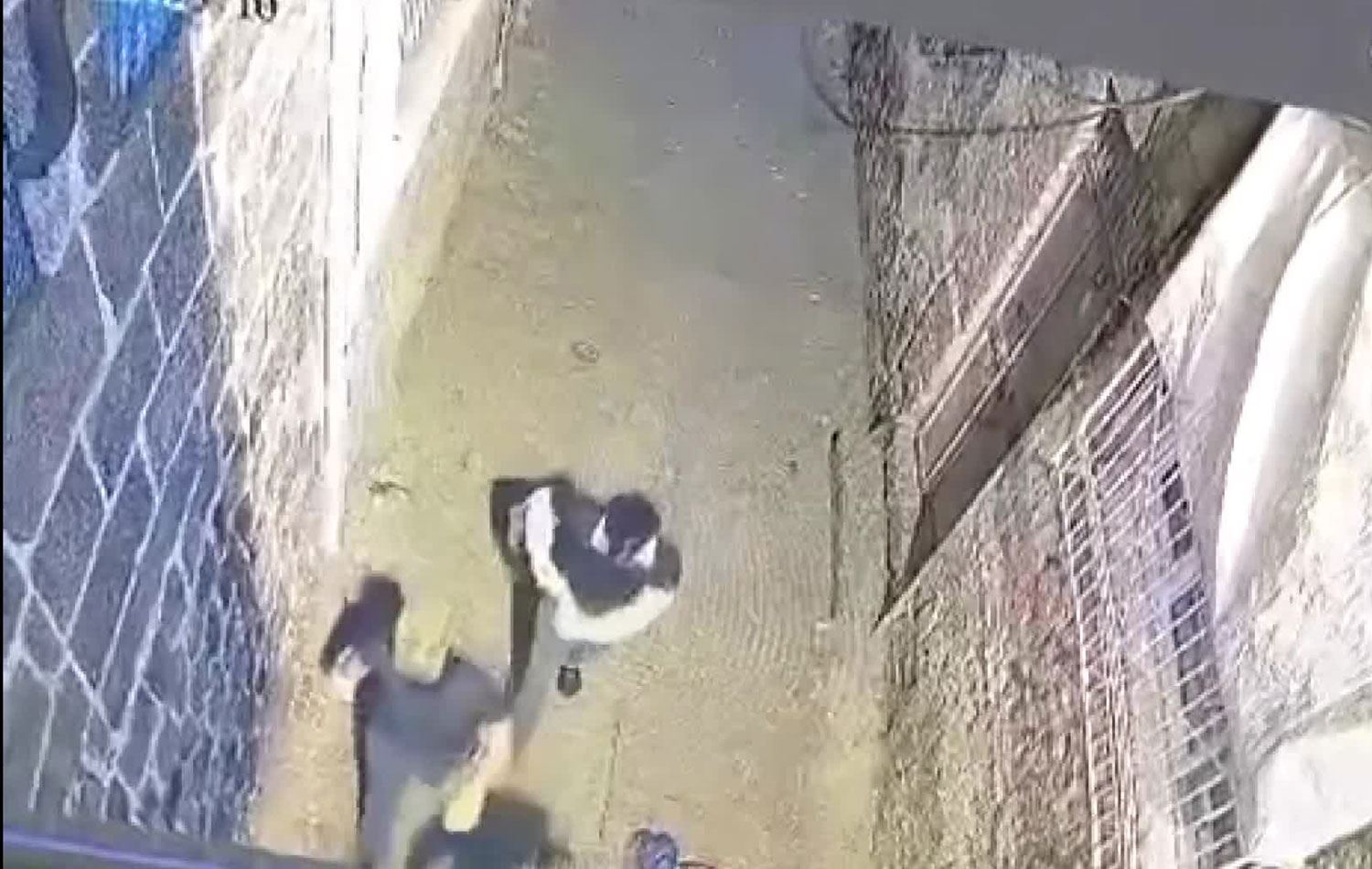 Video alıntısı / ANKA