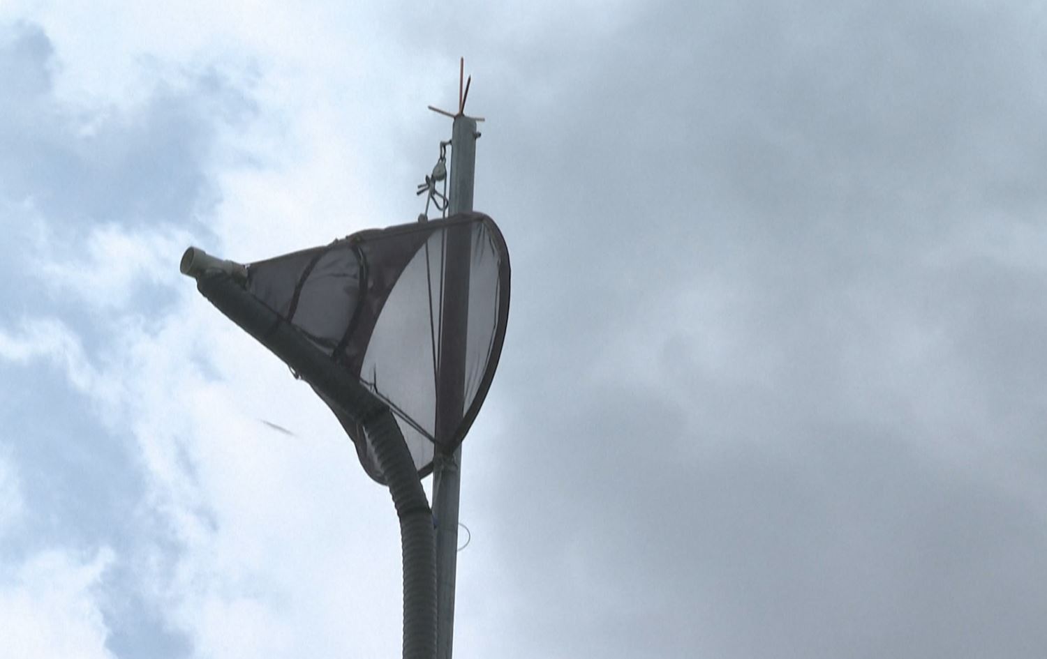 کۆریای باشوور بە ئامێرێک رێگری لە مێشوولەی تووشبوو بە مەلاریا دەکات