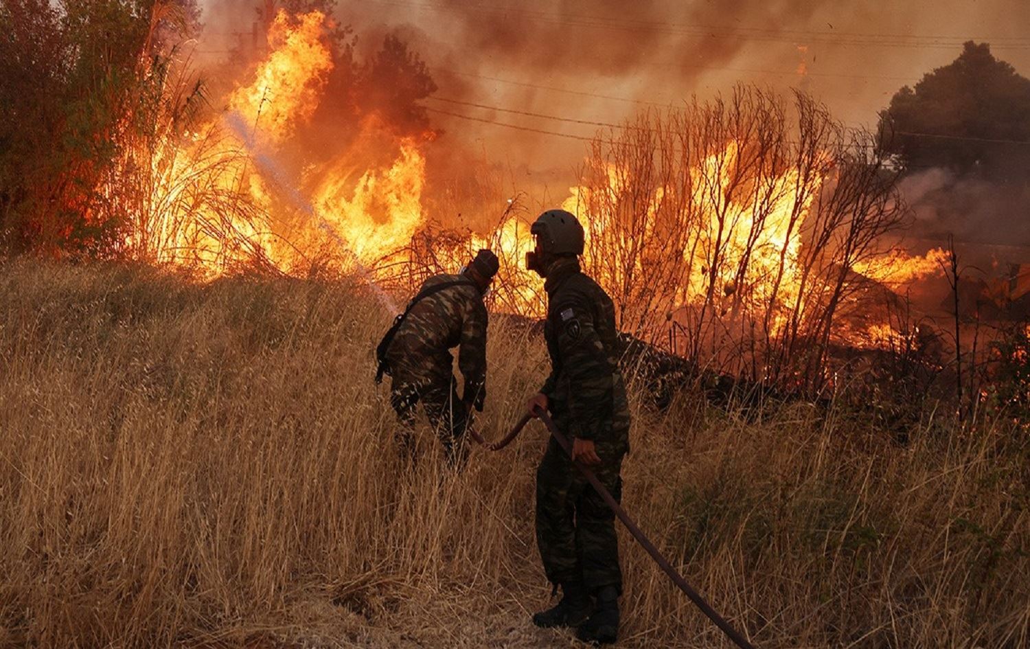 Li Yunanistanê şewata daristana li Çiyayê Pangeoyê 7 roj in berdewam dike / Wêne: AA