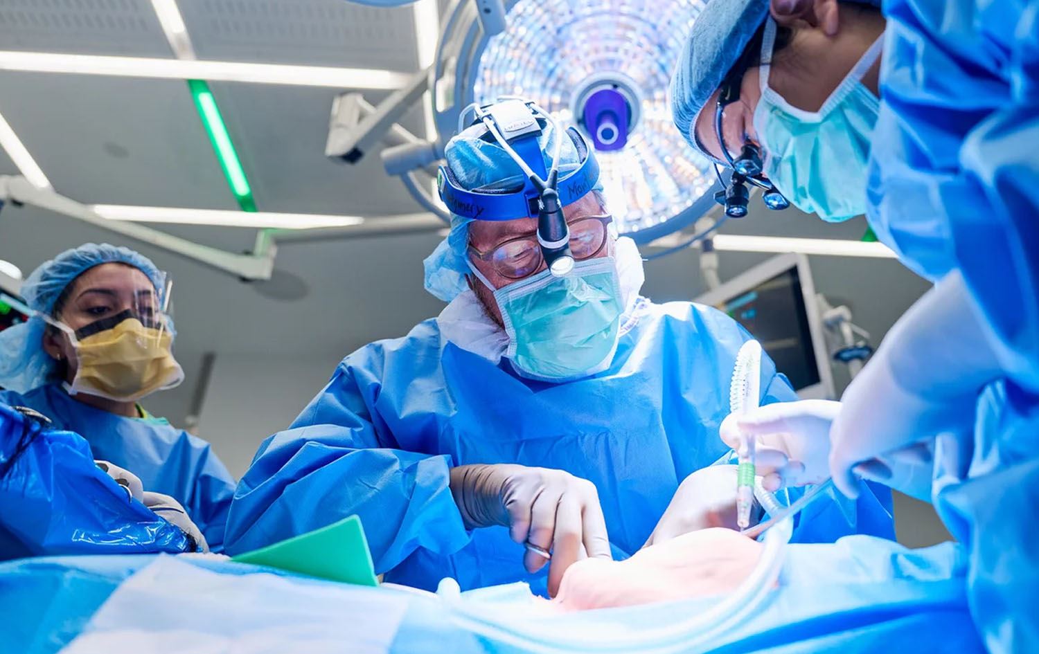 زانکۆی نیویۆرک: رێژەی گیانلەدەستدان بەهۆی بەخشینی گورچیلە کەمبووەتەوە