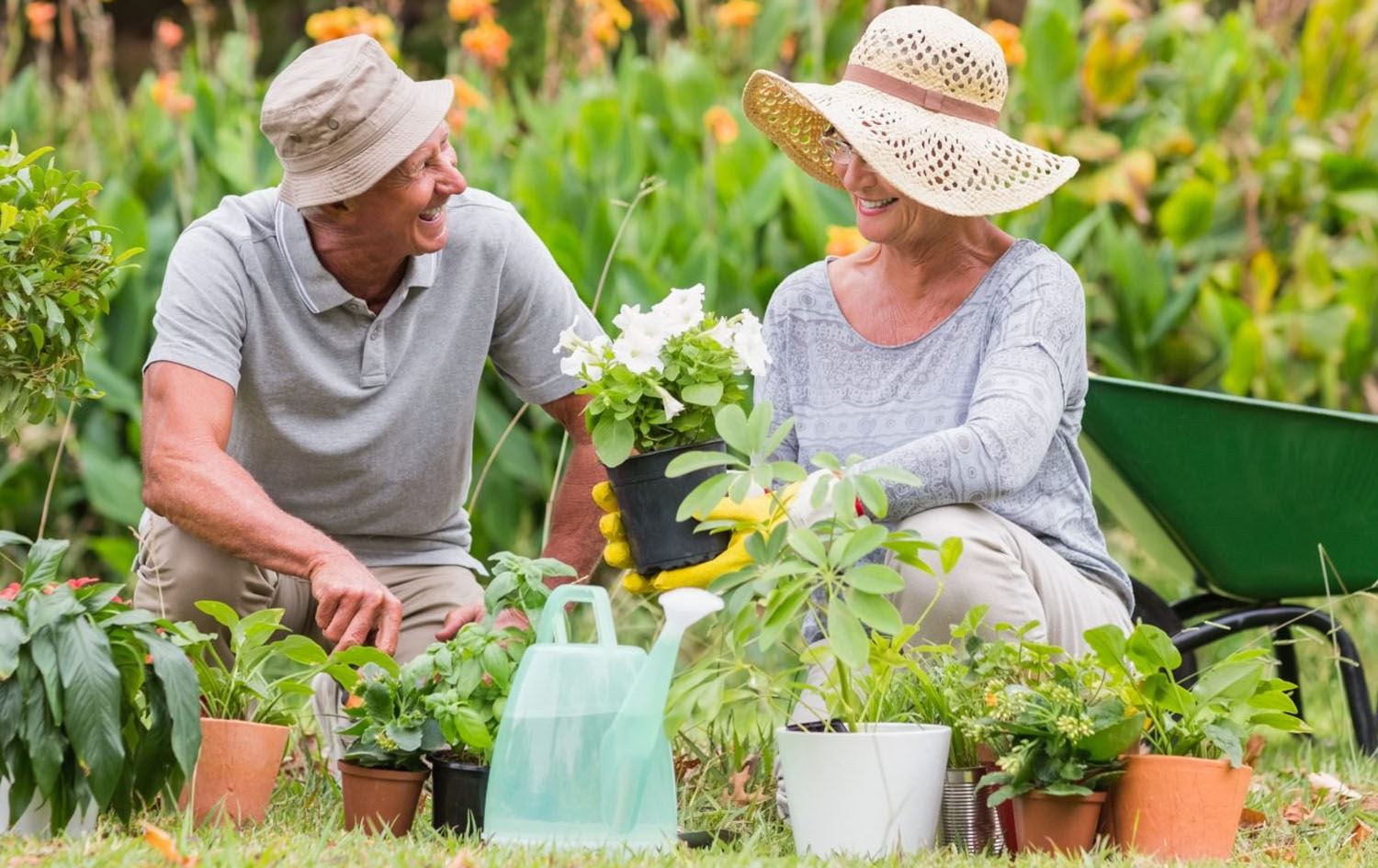 زانکۆی لویسڤیل: بوونی سەوزایی لە شوێنی نیشتەجێبوون سوودی تەندروستی دەبێت