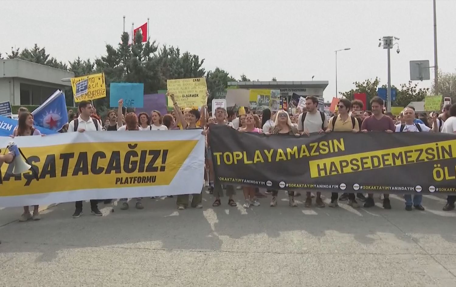 Ajeldost ji bo kûçikan meşiyan