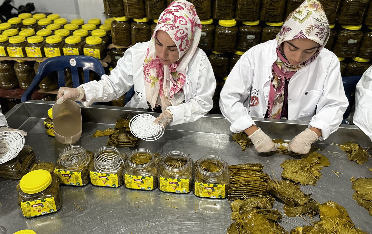 Jin pelên mêwan dadigirin/Wêne: AA