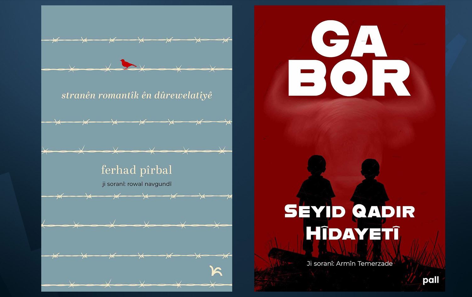 Du pirtûkên nû ji Pall Weşanê derketin / Wêne: Pall Weşanê / Rûdaw Grafîk