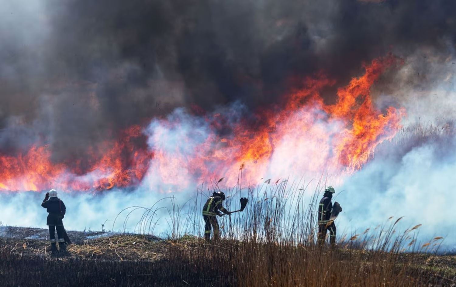 زانکۆی کۆلۆرادۆ لە ئەمریکا: دووکەڵی ئاگر زیان بە دەرووندروستیی منداڵ دەگەیێنێت