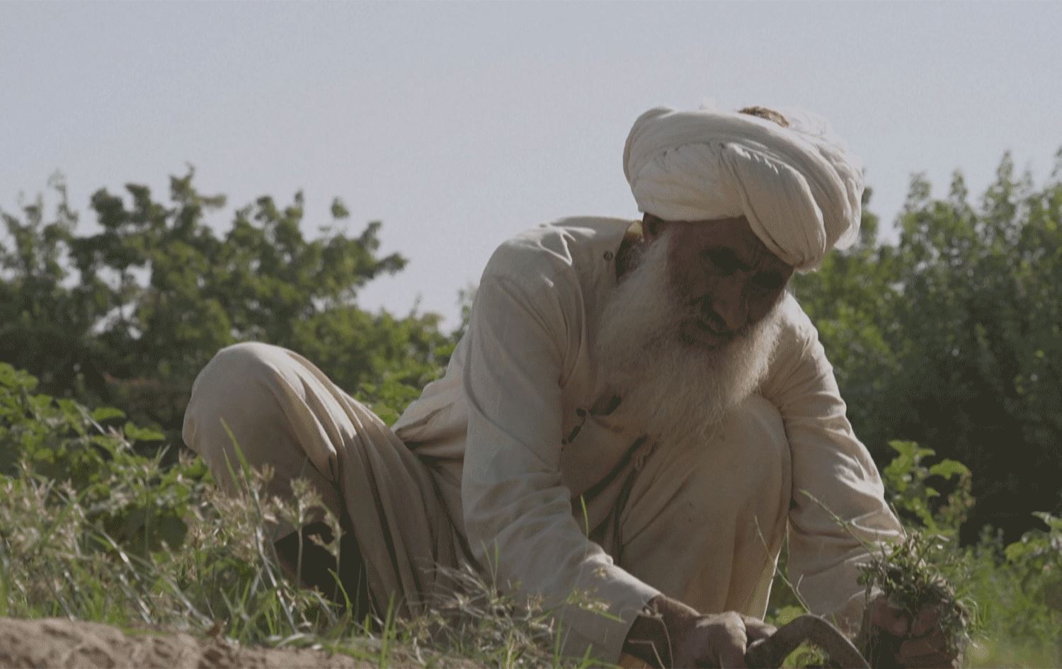 قەدەخەکردنی چاندنی ئەفیوون ژیانی بەشێکی ئەفغانییەکانی قورستر کردووە؛ 'چی لە نۆک و تەڕەپیاز بکەم؟'