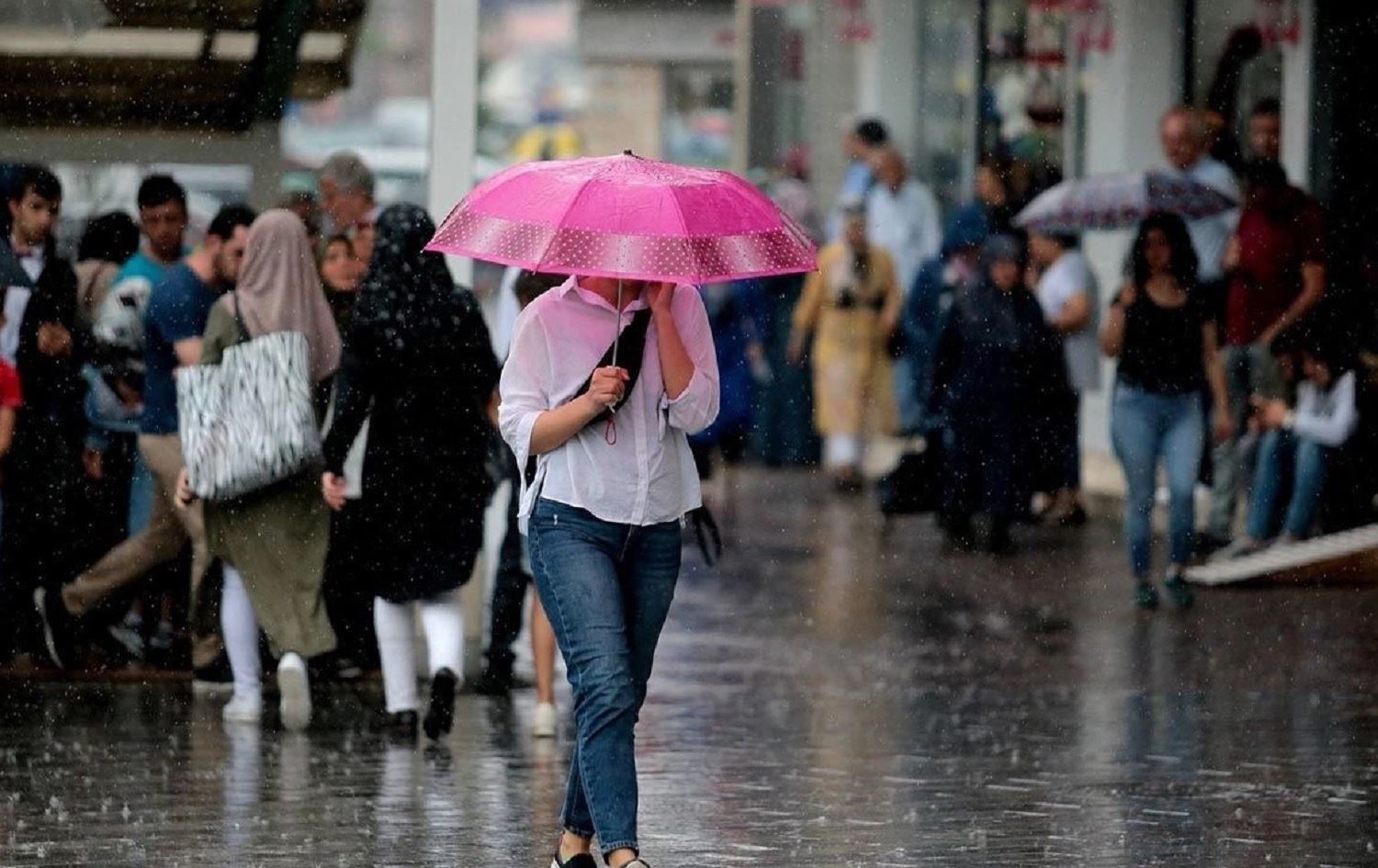 Saziya Keşnasiyê hişyarî da/Wêne: Arşîv