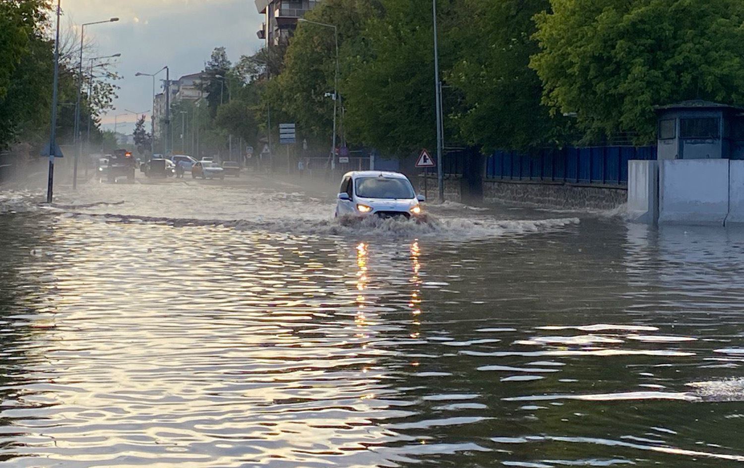 Li Amedê av li ser cedeyan kom bû