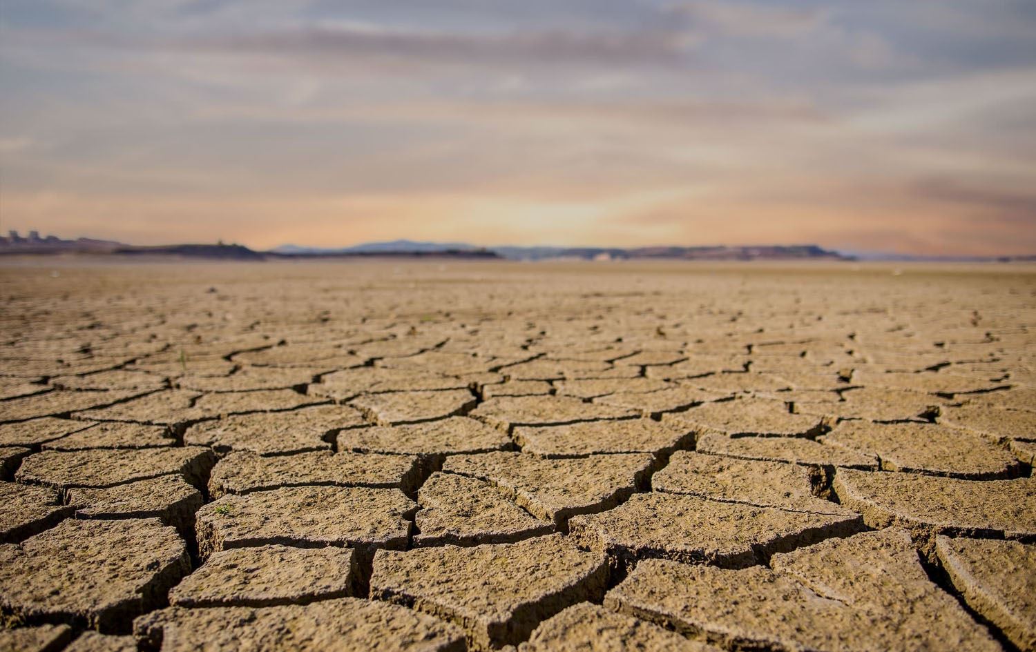 زانکۆی پێنسیلڤانیا: ناوەڕاستی سەدەی 21 گیانلەدەستدان لە ئەمریکا بەهۆی گەرما سێ ئەوەندە دەبێت
