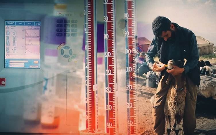 تەندروستیی عێراق: 178 تووشبووی تای خوێنبەربوون تۆمارکراون، 14یان لە کوردستانن