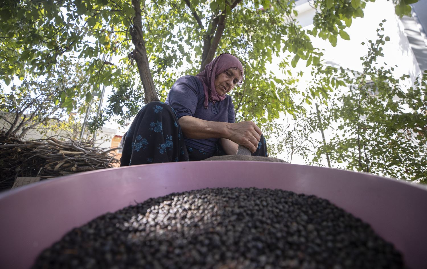 Jinek kizwanan dihêre/Wêne: AA