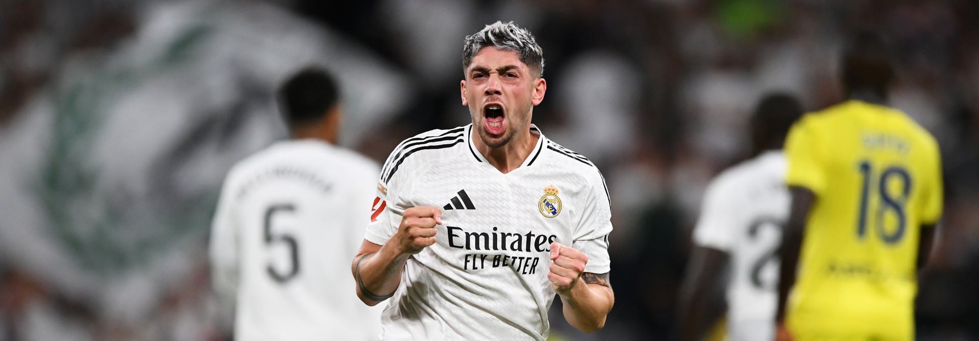 فیدی ڤاڵڤێردی