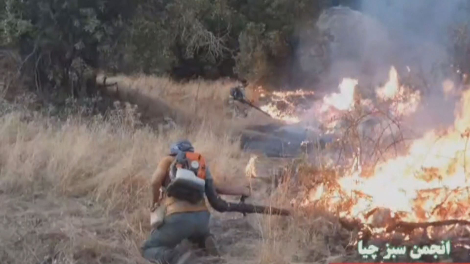 ژینگەپارێزانی مەریوان: بە ئەنقەست ئاگر لە دارستانەکان بەردەدرێت