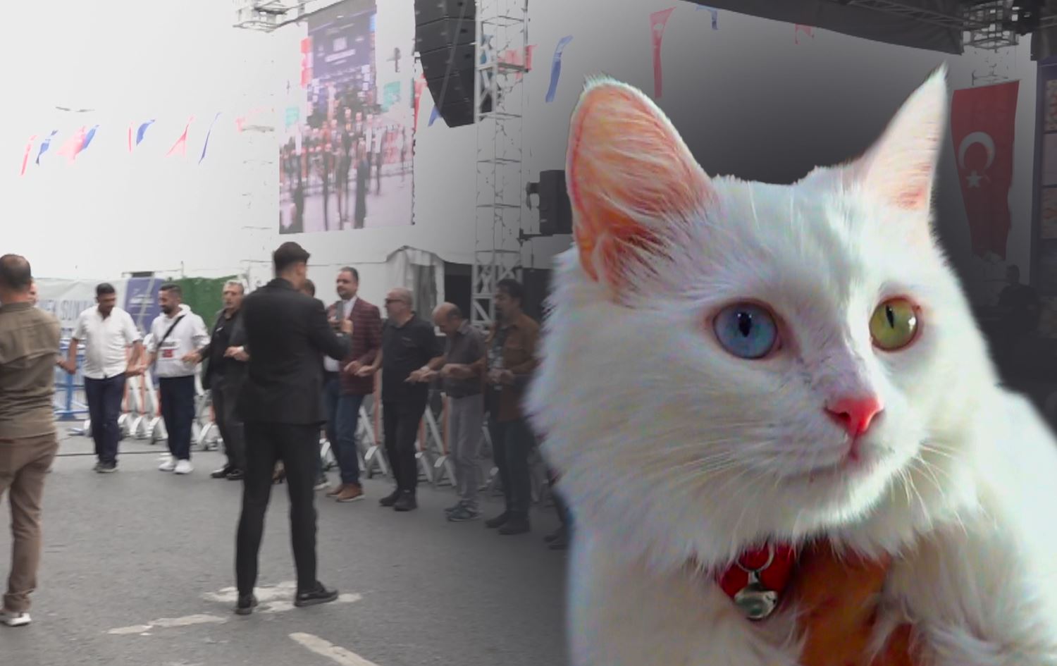 فێستیڤاڵێک لە ئیستەنبووڵ بۆ ناساندنی وان سازکرا؛ 'لێرە کولتوورمان دەناسرێت'