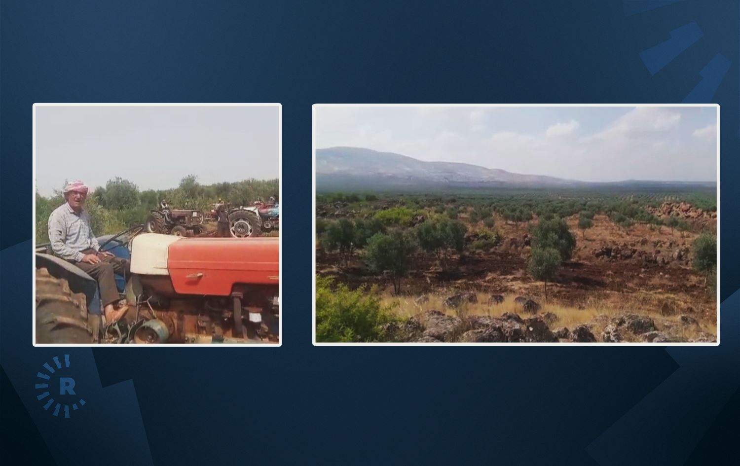 اراضي زراعية في عفرين